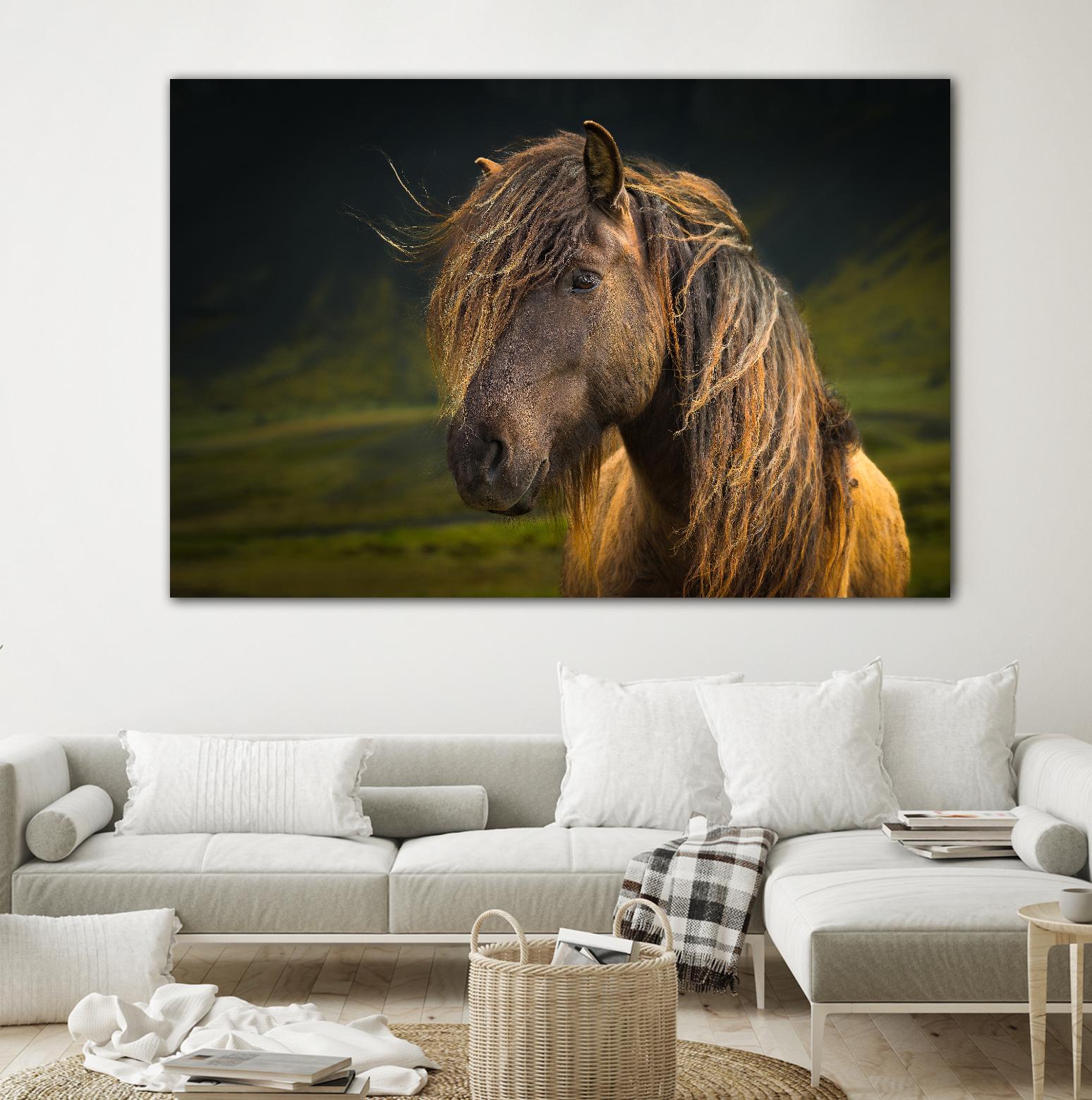 Born To Be Wild by Anne Schneidersmann on GIANT ART - multicolor photography; animals