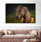 Born To Be Wild by Anne Schneidersmann on GIANT ART - multicolor photography; animals