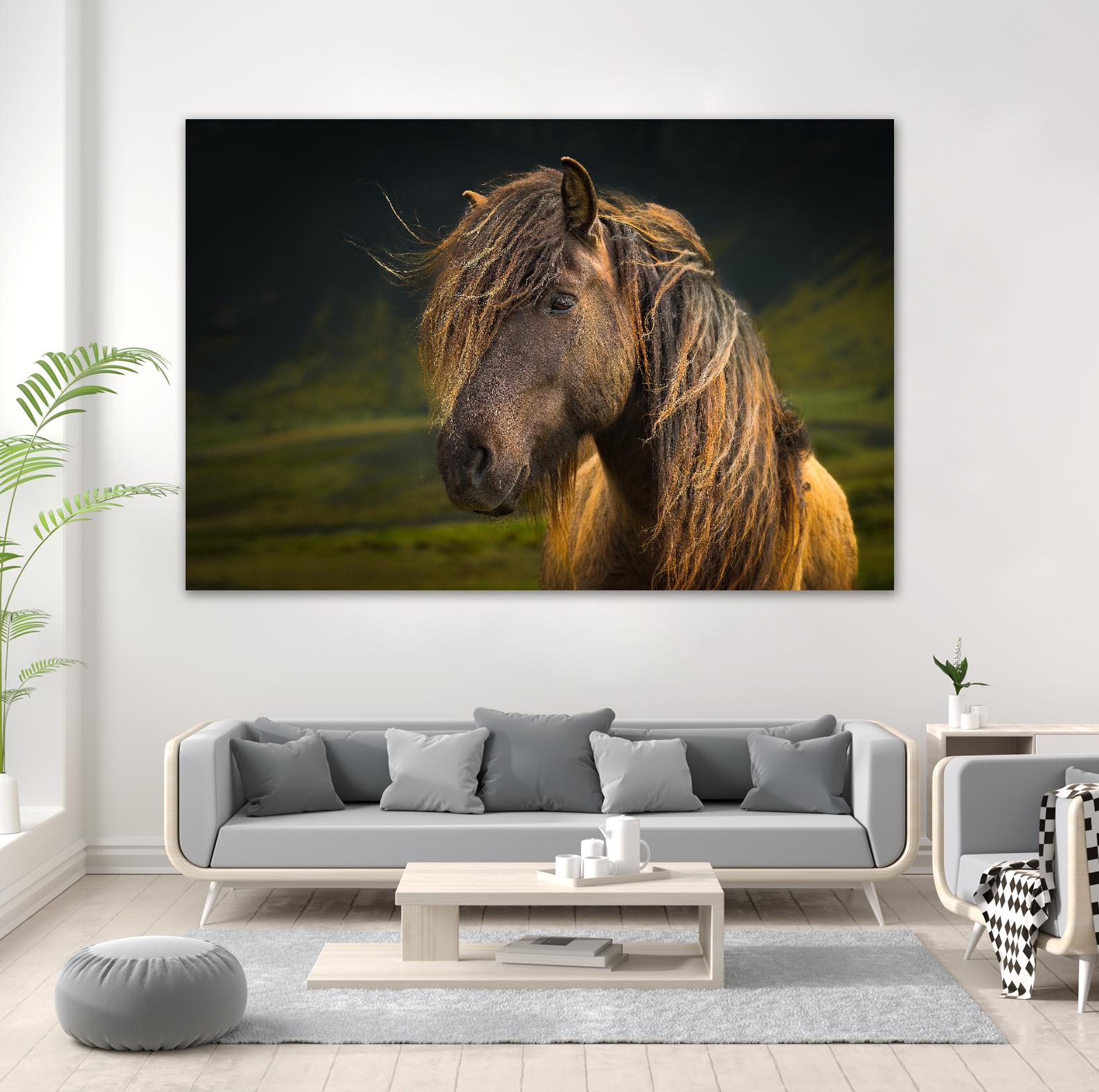 Born To Be Wild by Anne Schneidersmann on GIANT ART - multicolor photography; animals