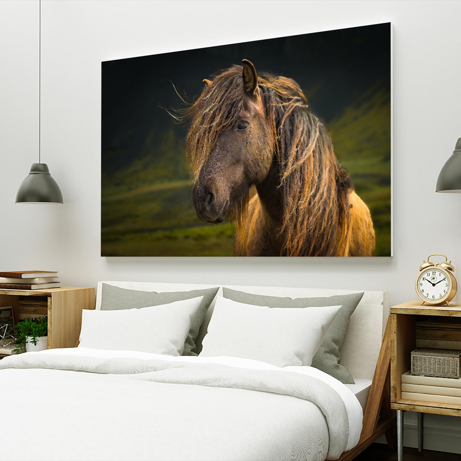 Born To Be Wild by Anne Schneidersmann on GIANT ART - multicolor photography; animals