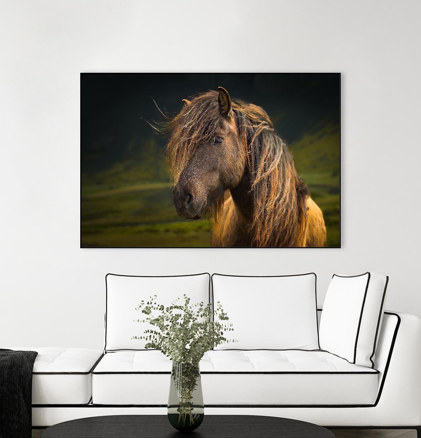 Born To Be Wild by Anne Schneidersmann on GIANT ART - multicolor photography; animals