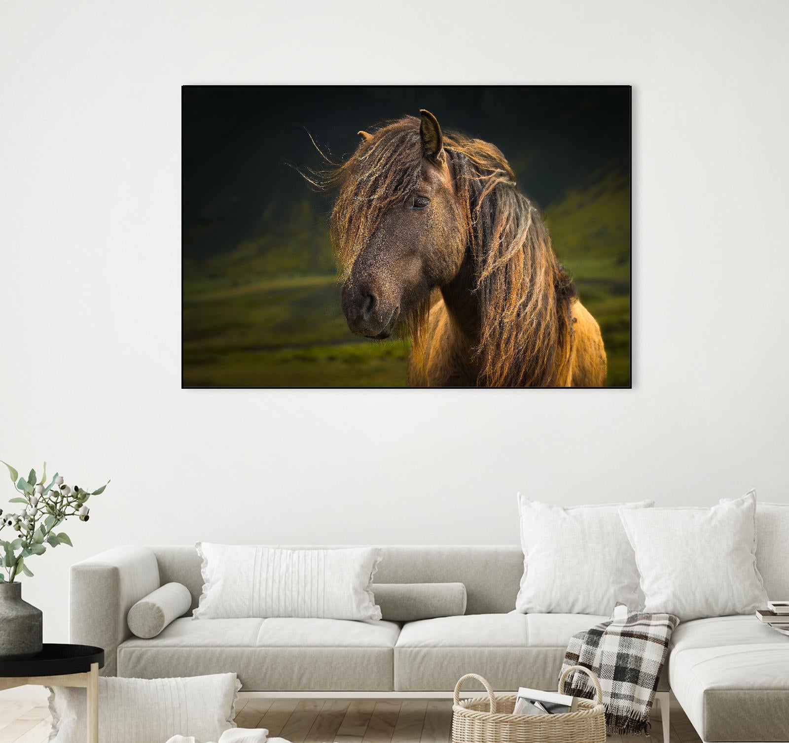 Born To Be Wild by Anne Schneidersmann on GIANT ART - multicolor photography; animals