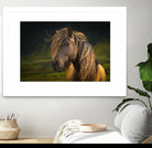 Born To Be Wild by Anne Schneidersmann on GIANT ART - multicolor photography; animals