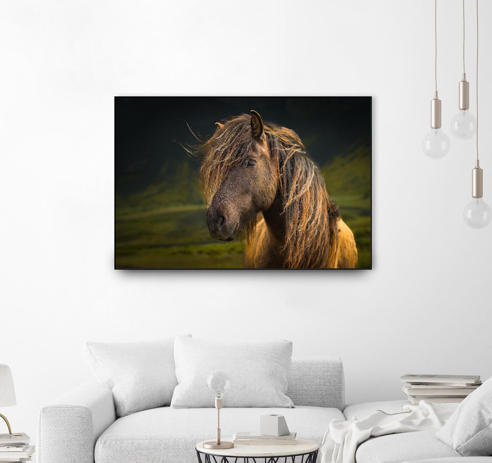 Born To Be Wild by Anne Schneidersmann on GIANT ART - multicolor photography; animals