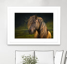 Born To Be Wild by Anne Schneidersmann on GIANT ART - multicolor photography; animals