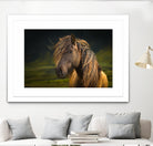 Born To Be Wild by Anne Schneidersmann on GIANT ART - multicolor photography; animals