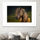 Born To Be Wild by Anne Schneidersmann on GIANT ART - multicolor photography; animals