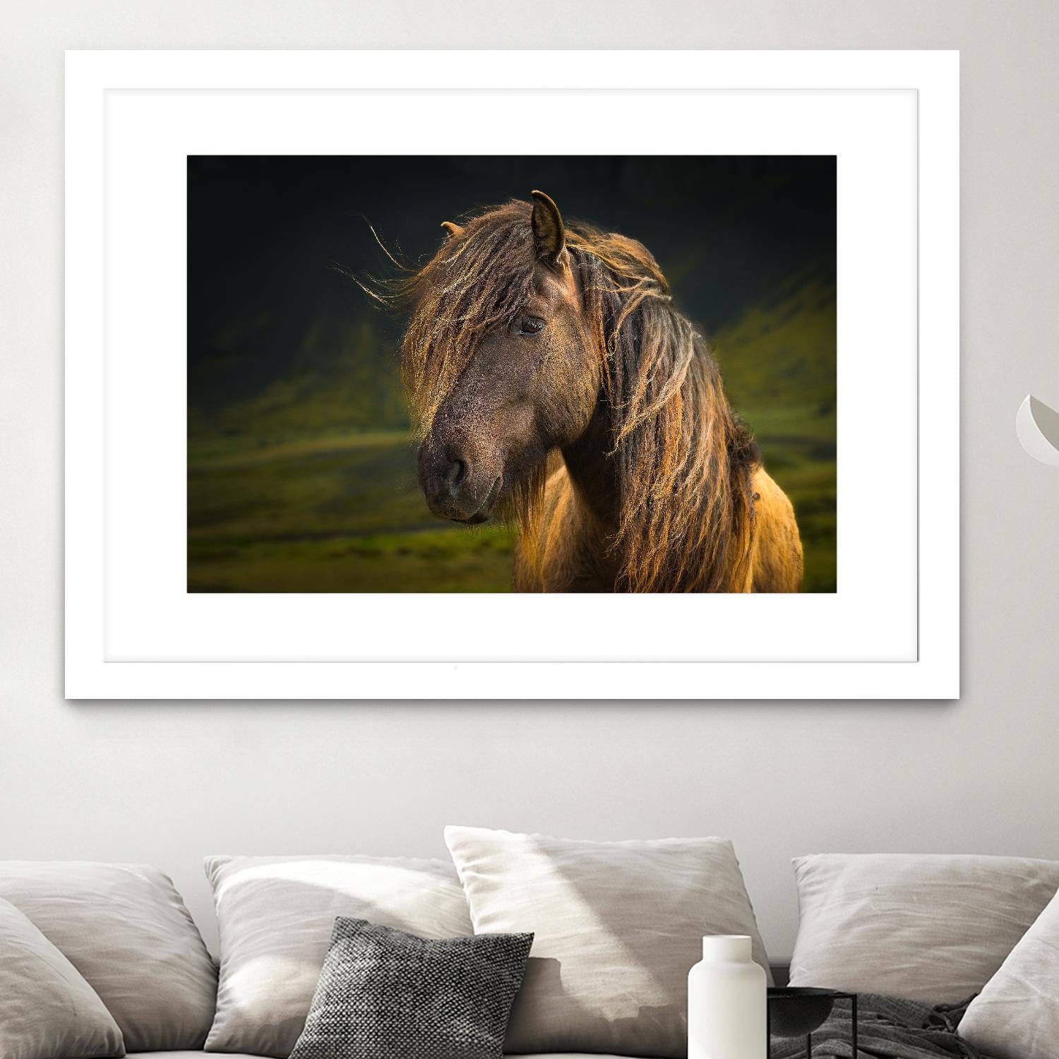 Born To Be Wild by Anne Schneidersmann on GIANT ART - multicolor photography; animals