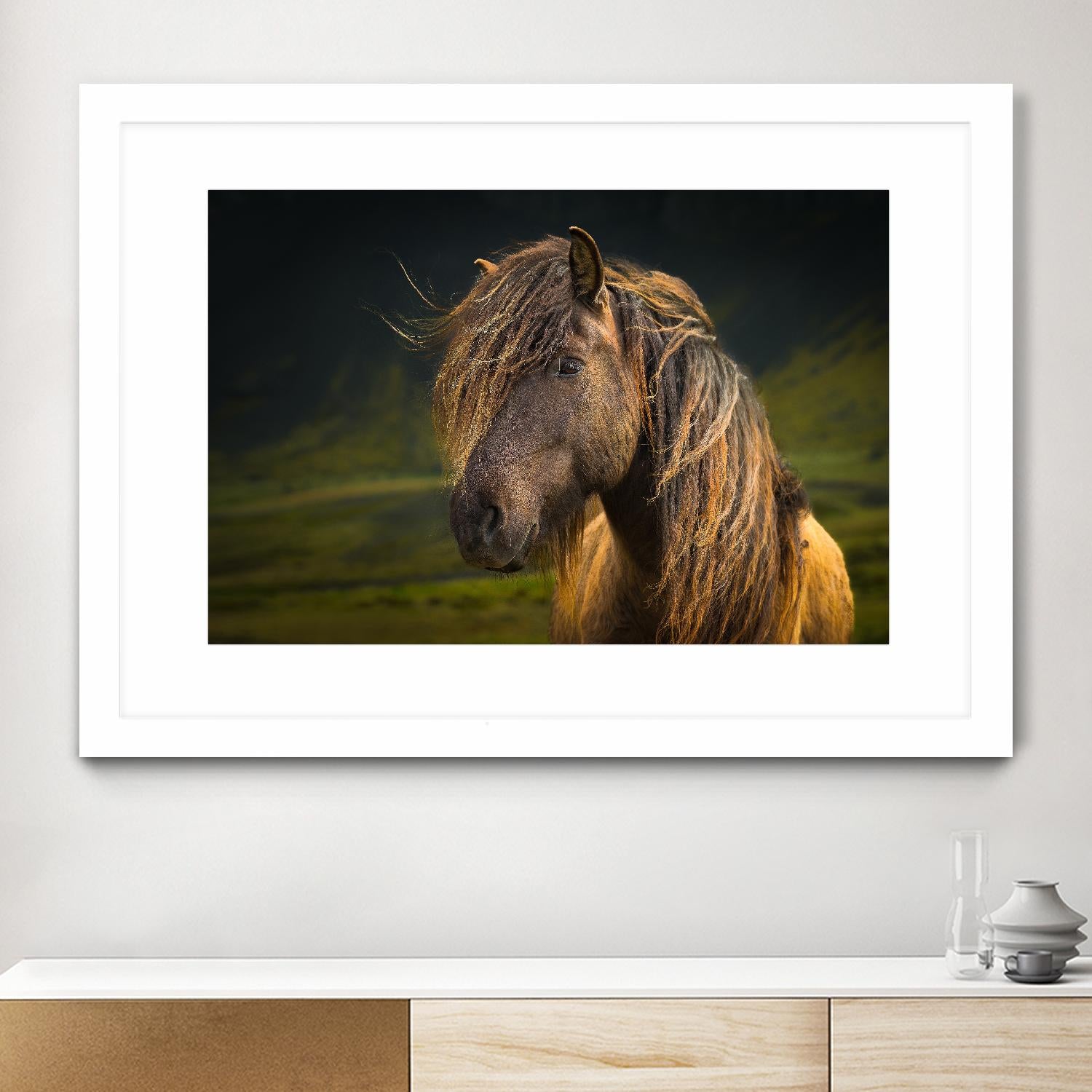 Born To Be Wild by Anne Schneidersmann on GIANT ART - multicolor photography; animals