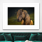 Born To Be Wild by Anne Schneidersmann on GIANT ART - multicolor photography; animals