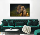 Born To Be Wild by Anne Schneidersmann on GIANT ART - multicolor photography; animals