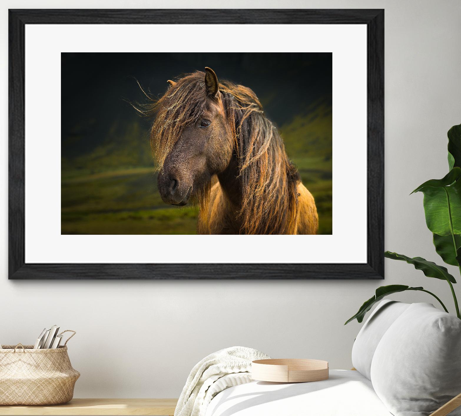 Born To Be Wild by Anne Schneidersmann on GIANT ART - multicolor photography; animals