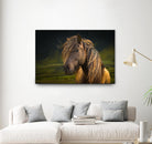 Born To Be Wild by Anne Schneidersmann on GIANT ART - multicolor photography; animals