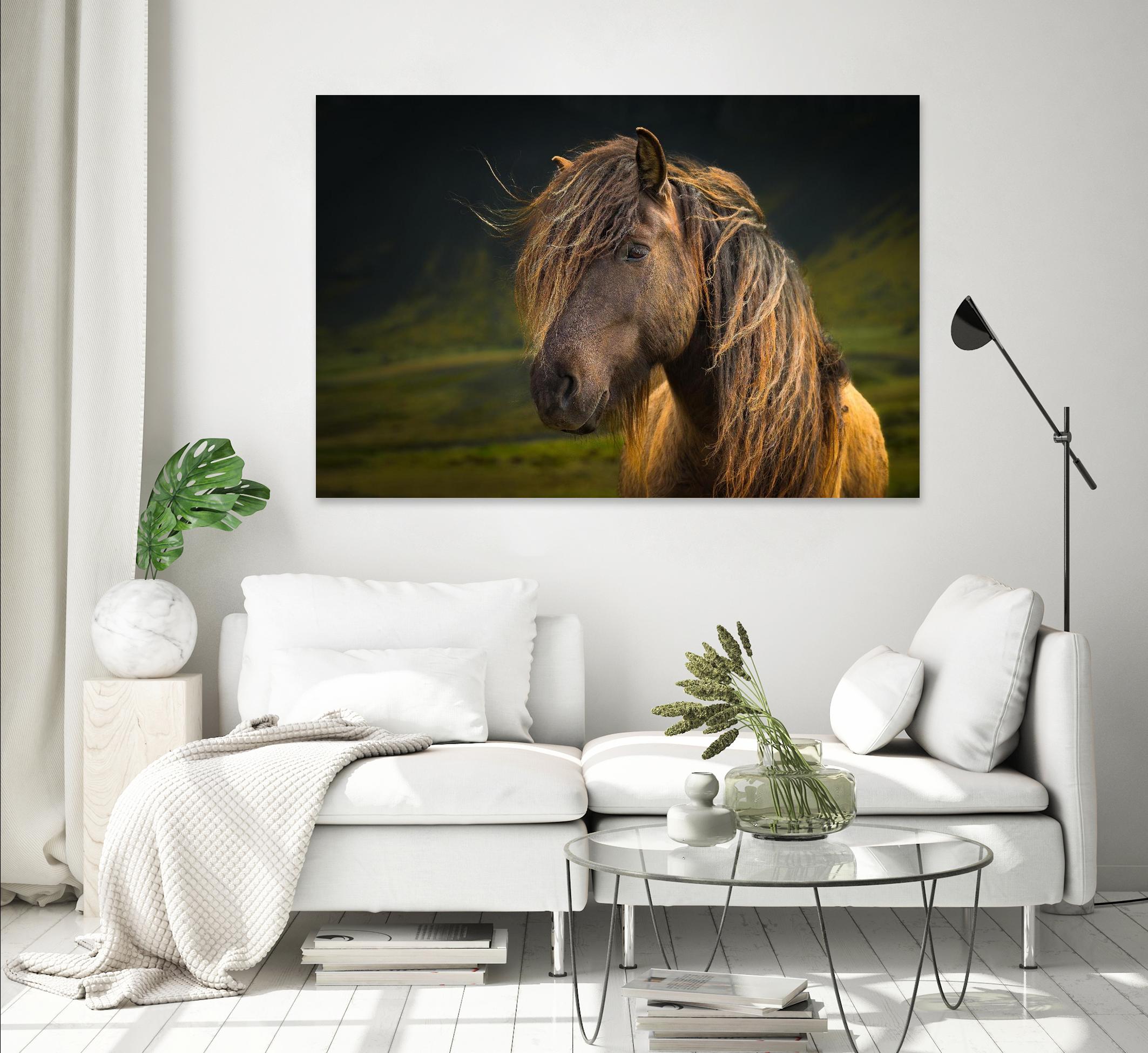 Born To Be Wild by Anne Schneidersmann on GIANT ART - multicolor photography; animals