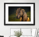 Born To Be Wild by Anne Schneidersmann on GIANT ART - multicolor photography; animals