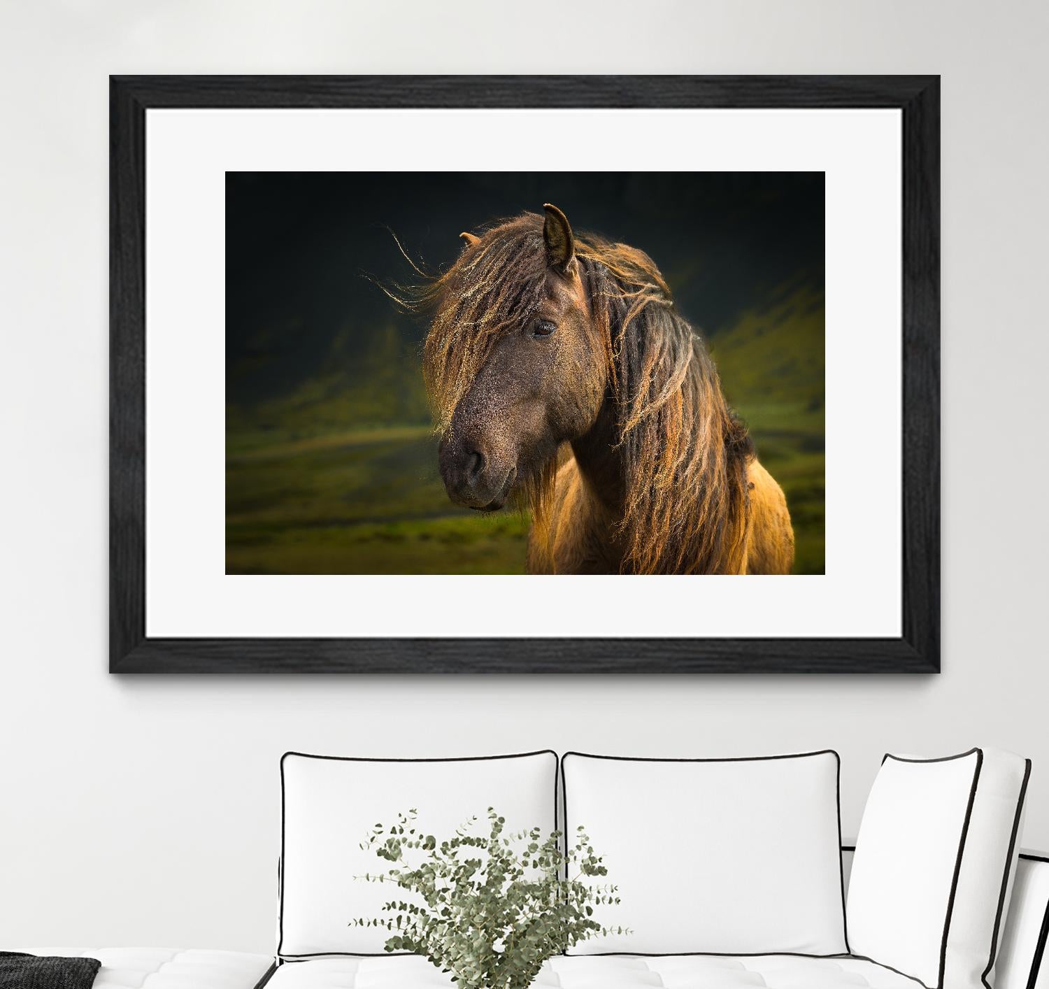 Born To Be Wild by Anne Schneidersmann on GIANT ART - multicolor photography; animals