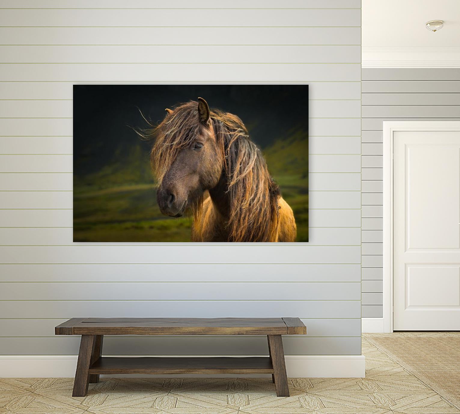 Born To Be Wild by Anne Schneidersmann on GIANT ART - multicolor photography; animals