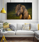 Born To Be Wild by Anne Schneidersmann on GIANT ART - multicolor photography; animals