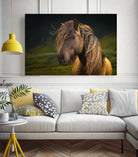 Born To Be Wild by Anne Schneidersmann on GIANT ART - multicolor photography; animals