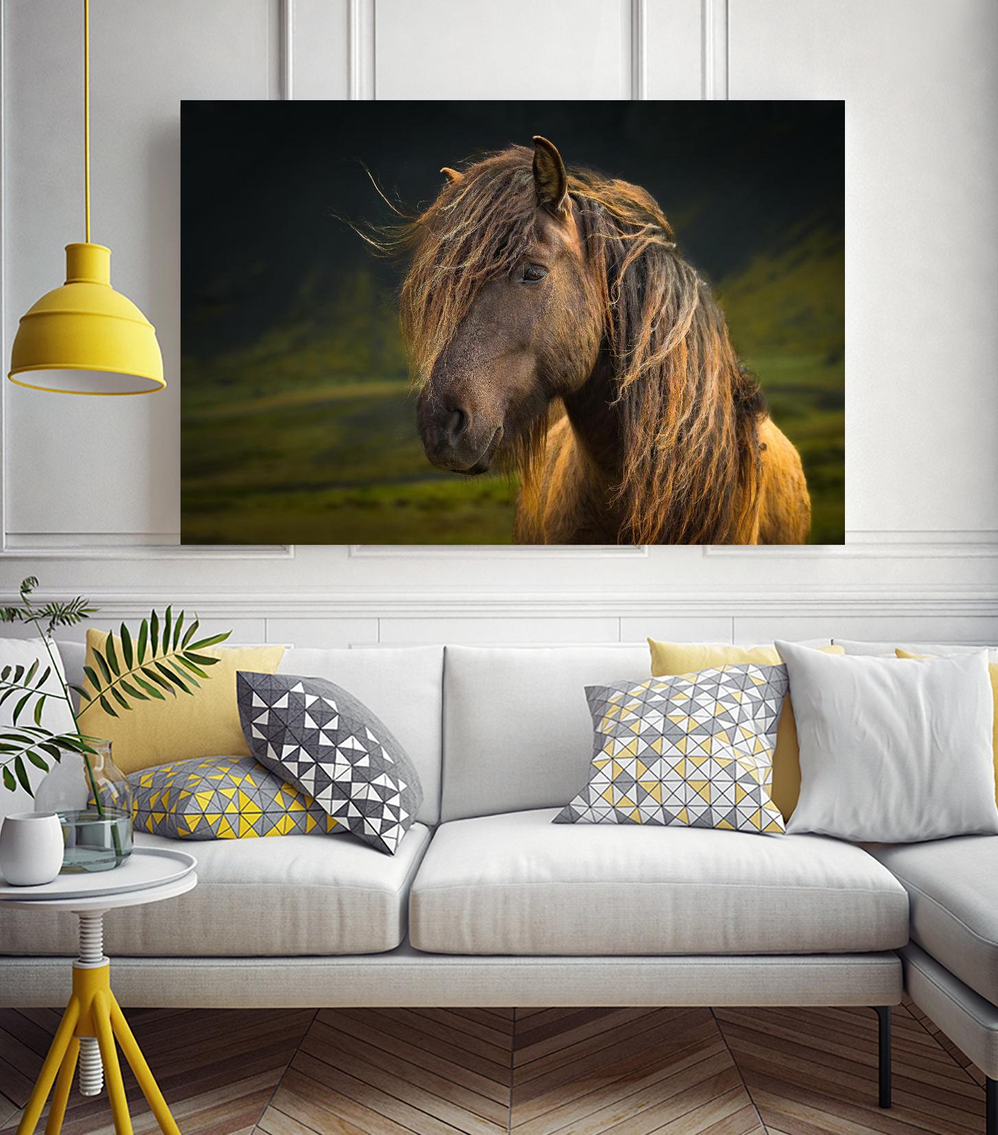 Born To Be Wild by Anne Schneidersmann on GIANT ART - multicolor photography; animals