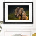 Born To Be Wild by Anne Schneidersmann on GIANT ART - multicolor photography; animals