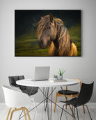 Born To Be Wild by Anne Schneidersmann on GIANT ART - multicolor photography; animals