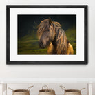 Born To Be Wild by Anne Schneidersmann on GIANT ART - multicolor photography; animals