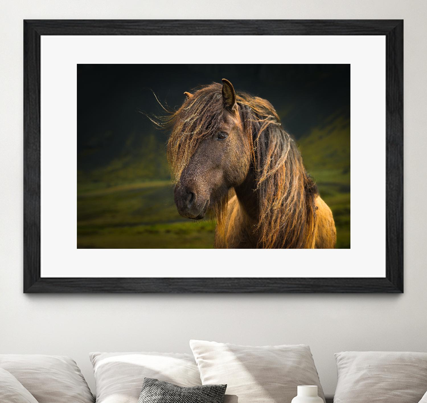 Born To Be Wild by Anne Schneidersmann on GIANT ART - multicolor photography; animals