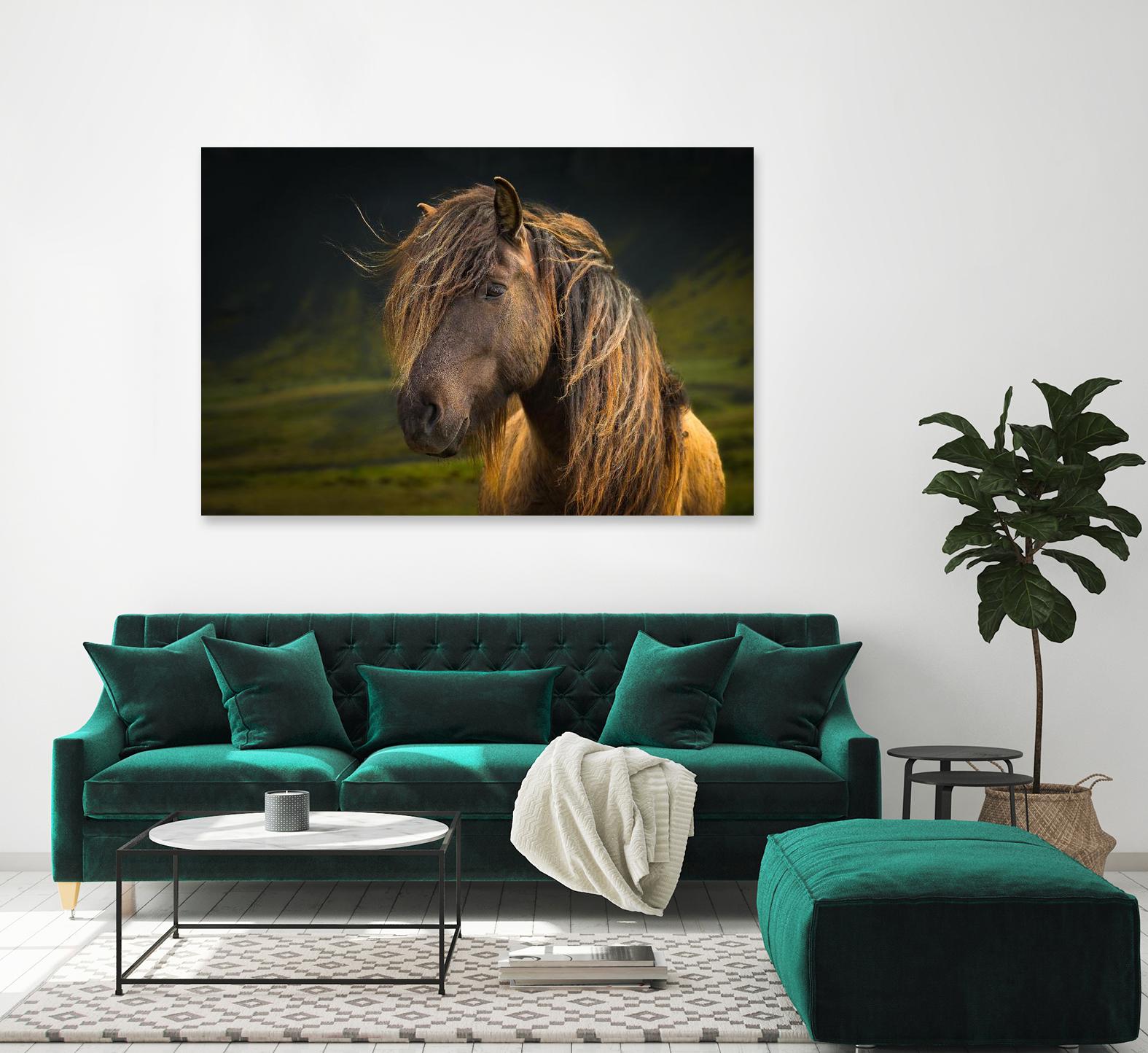 Born To Be Wild by Anne Schneidersmann on GIANT ART - multicolor photography; animals