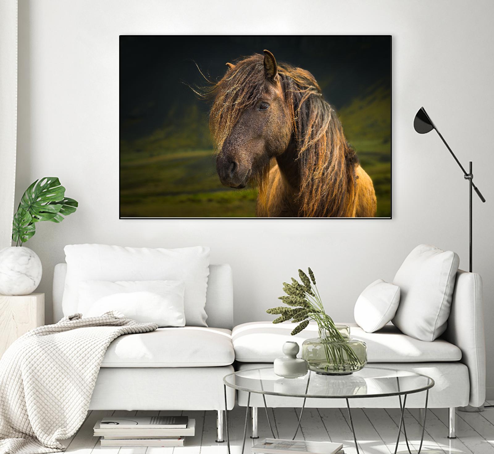 Born To Be Wild by Anne Schneidersmann on GIANT ART - multicolor photography; animals