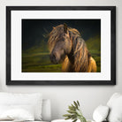 Born To Be Wild by Anne Schneidersmann on GIANT ART - multicolor photography; animals