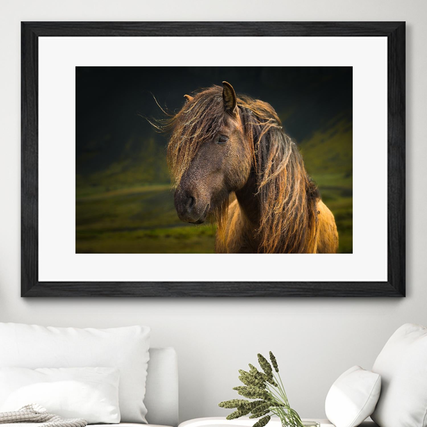 Born To Be Wild by Anne Schneidersmann on GIANT ART - multicolor photography; animals