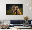 Born To Be Wild by Anne Schneidersmann on GIANT ART - multicolor photography; animals