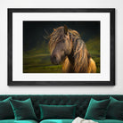 Born To Be Wild by Anne Schneidersmann on GIANT ART - multicolor photography; animals