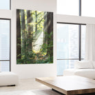 Sunbeam and Spiderweb by Lars Van de Goor on GIANT ART - multicolor photography; landscapes