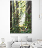 Sunbeam and Spiderweb by Lars Van de Goor on GIANT ART - multicolor photography; landscapes