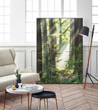 Sunbeam and Spiderweb by Lars Van de Goor on GIANT ART - multicolor photography; landscapes