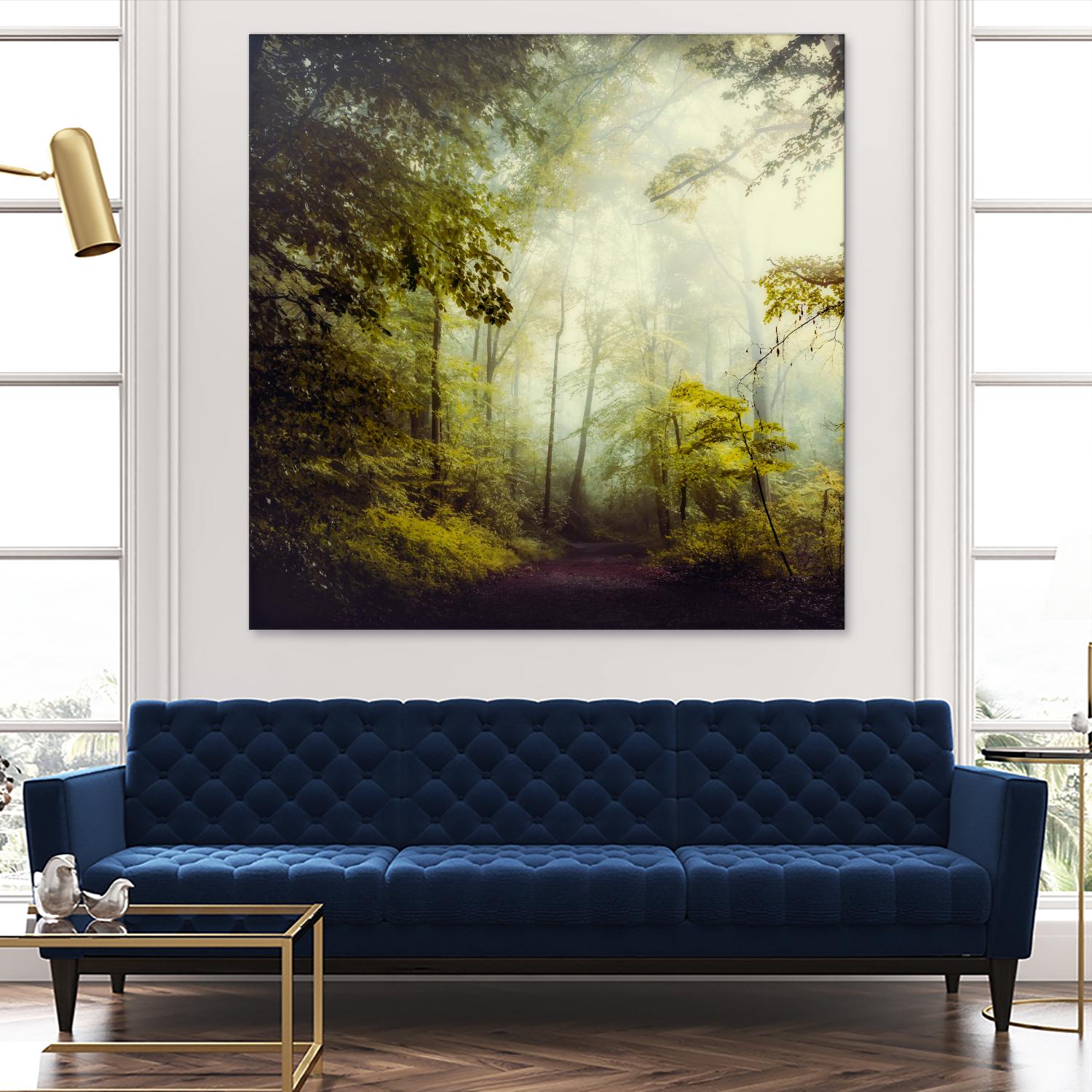 Glorious Woods by Dirk Wuestenhagen on GIANT ART - multicolor photography; landscapes