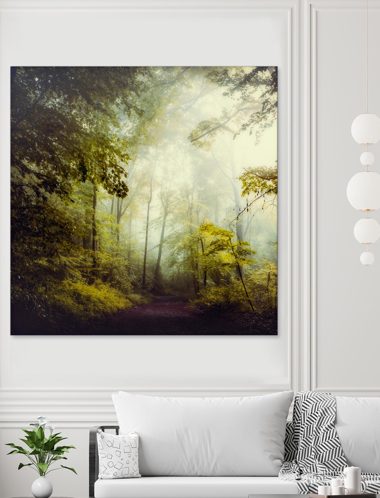 Glorious Woods by Dirk Wuestenhagen on GIANT ART - multicolor photography; landscapes