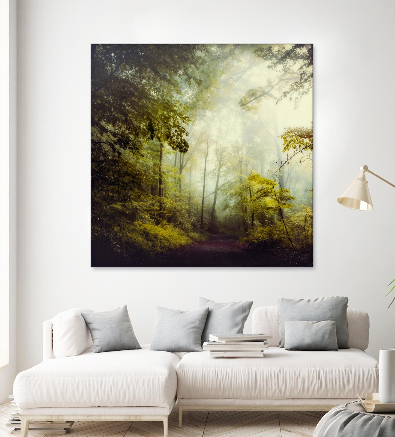 Glorious Woods by Dirk Wuestenhagen on GIANT ART - multicolor photography; landscapes