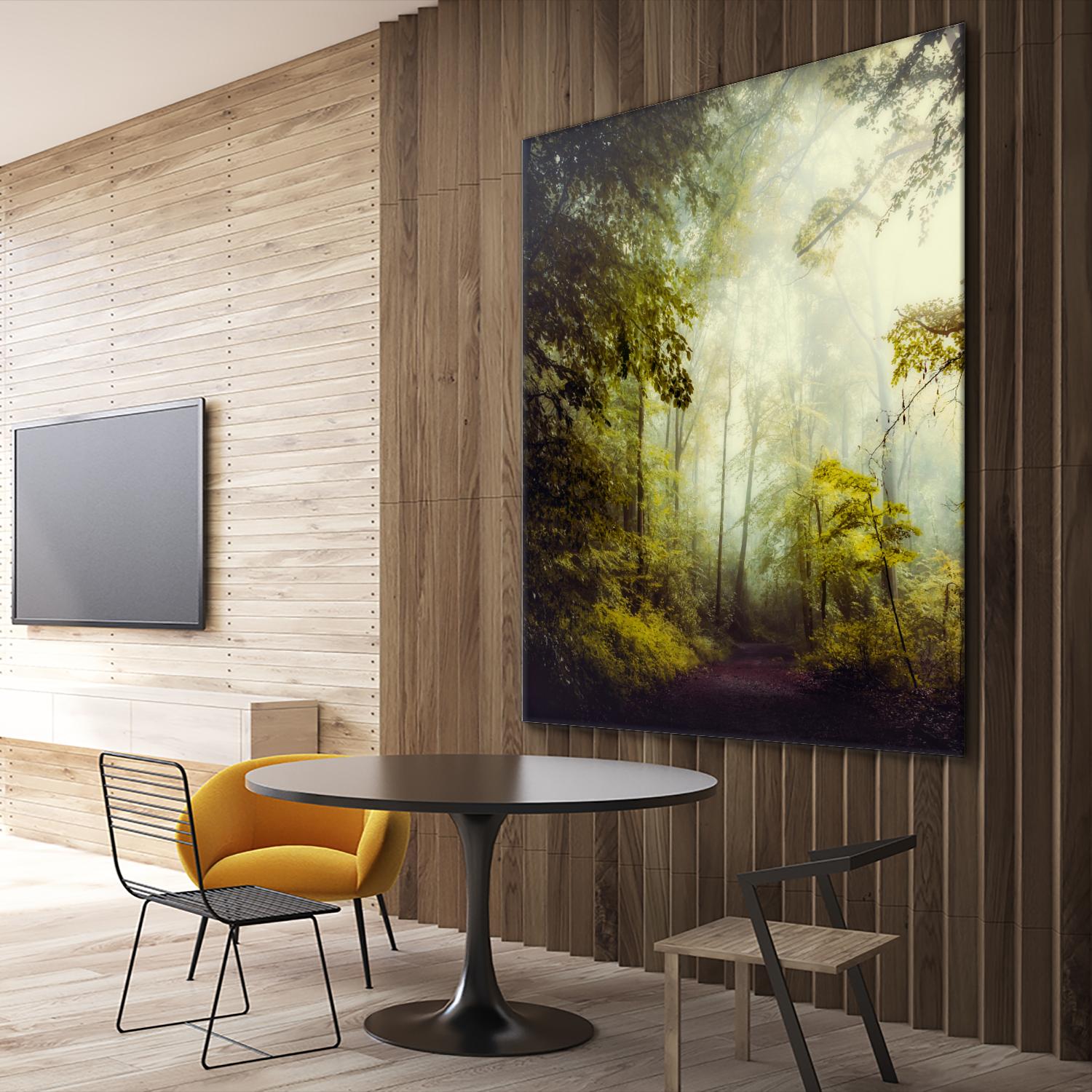 Glorious Woods by Dirk Wuestenhagen on GIANT ART - multicolor photography; landscapes