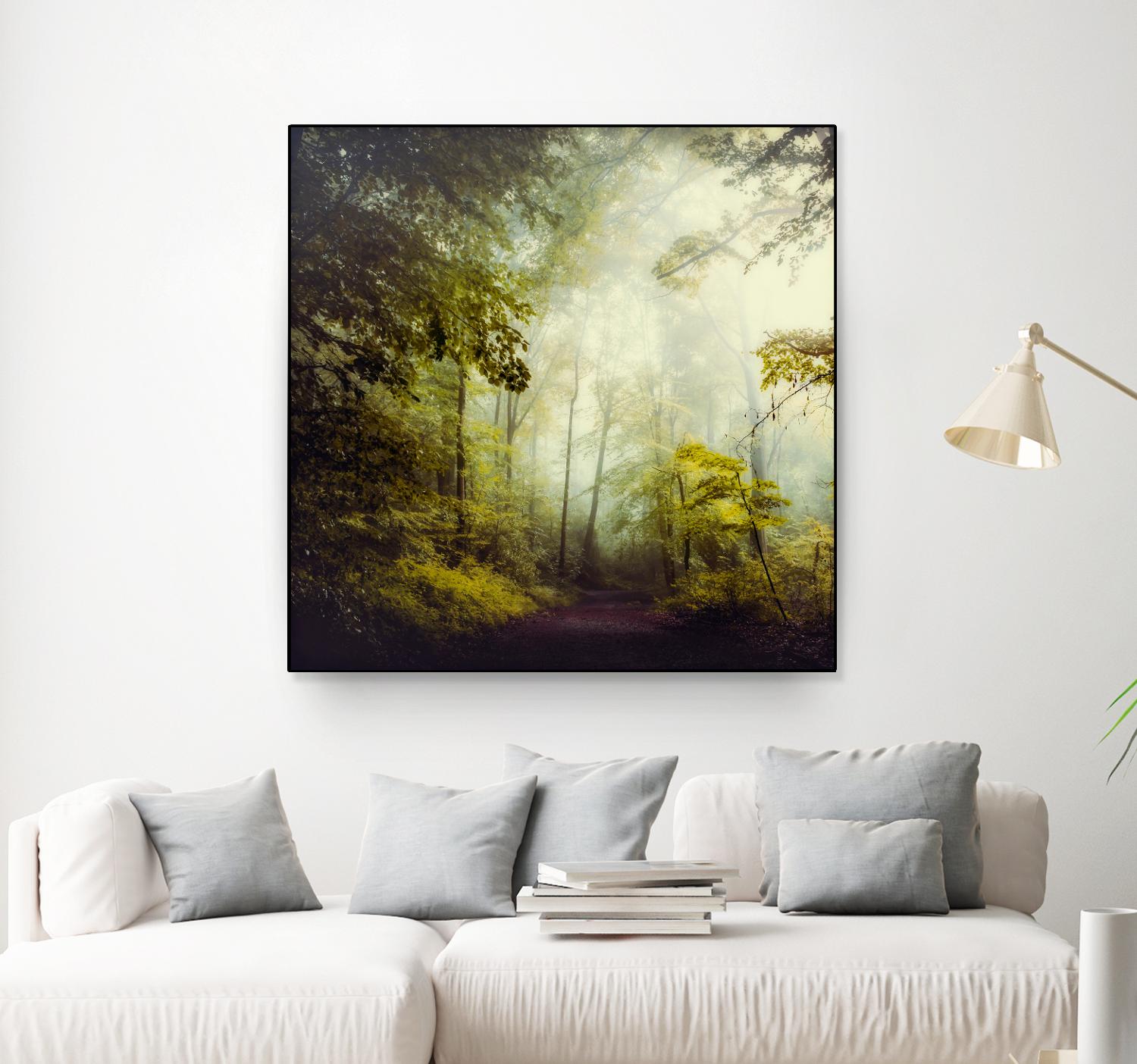 Glorious Woods by Dirk Wuestenhagen on GIANT ART - multicolor photography; landscapes