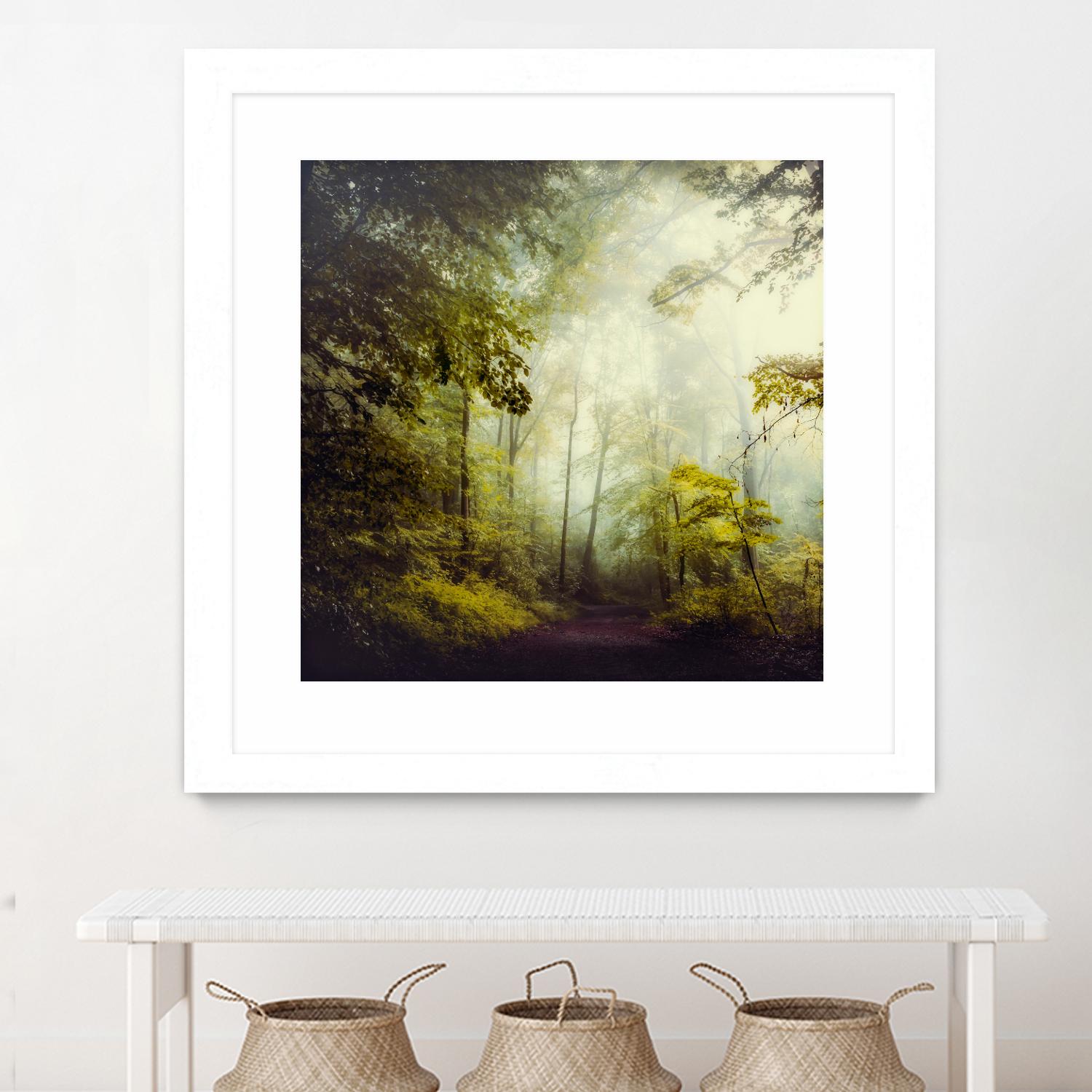 Glorious Woods by Dirk Wuestenhagen on GIANT ART - multicolor photography; landscapes