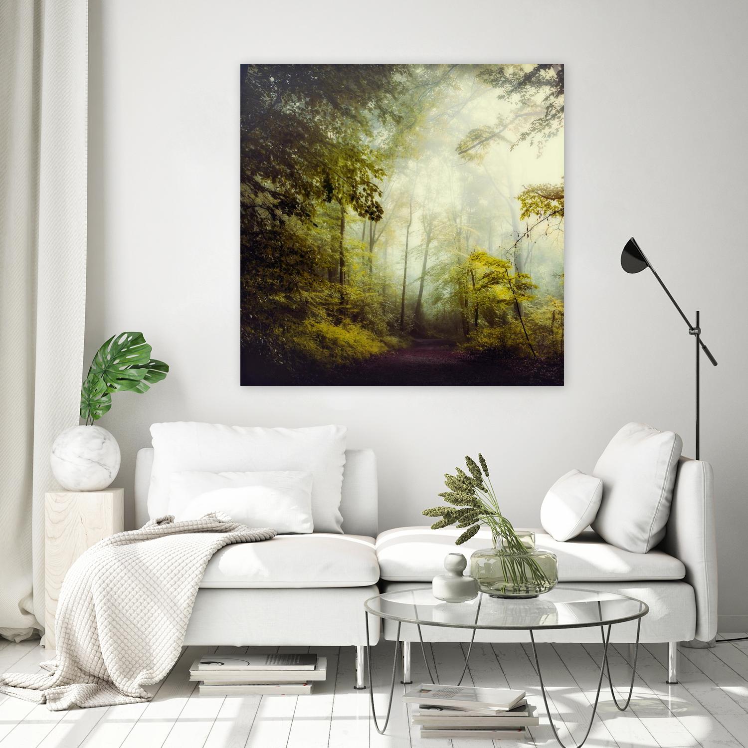 Glorious Woods by Dirk Wuestenhagen on GIANT ART - multicolor photography; landscapes