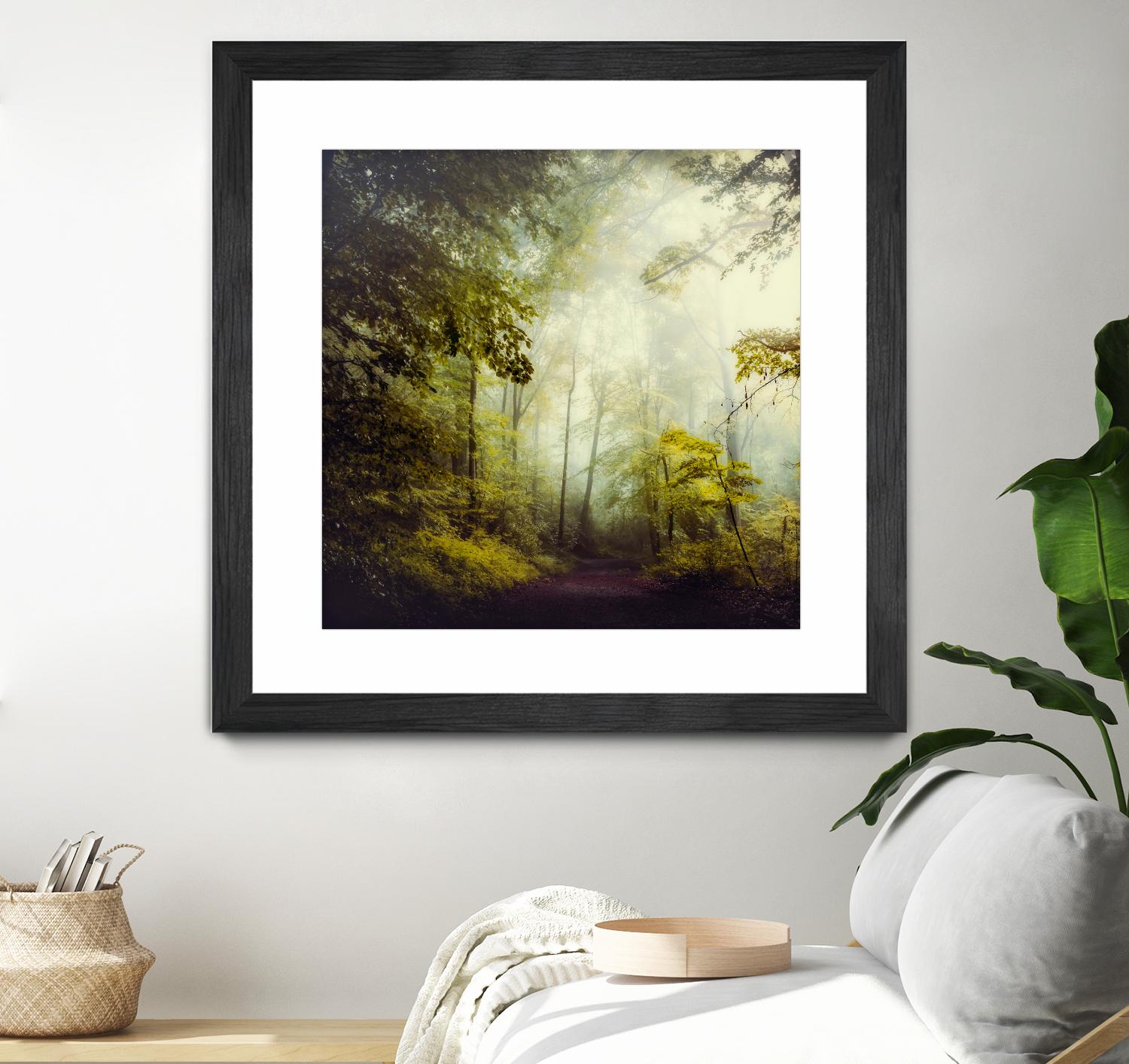 Glorious Woods by Dirk Wuestenhagen on GIANT ART - multicolor photography; landscapes