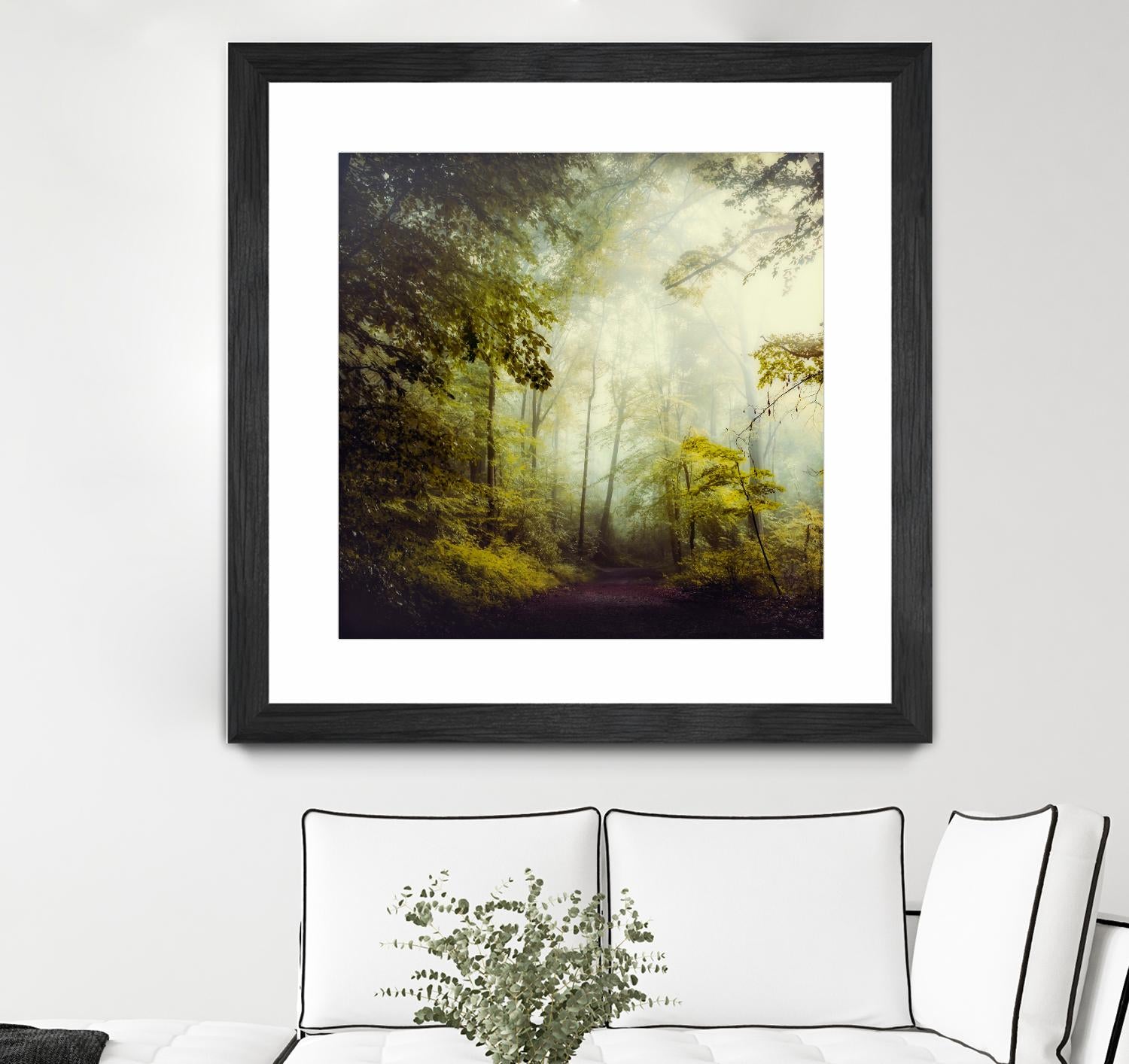 Glorious Woods by Dirk Wuestenhagen on GIANT ART - multicolor photography; landscapes