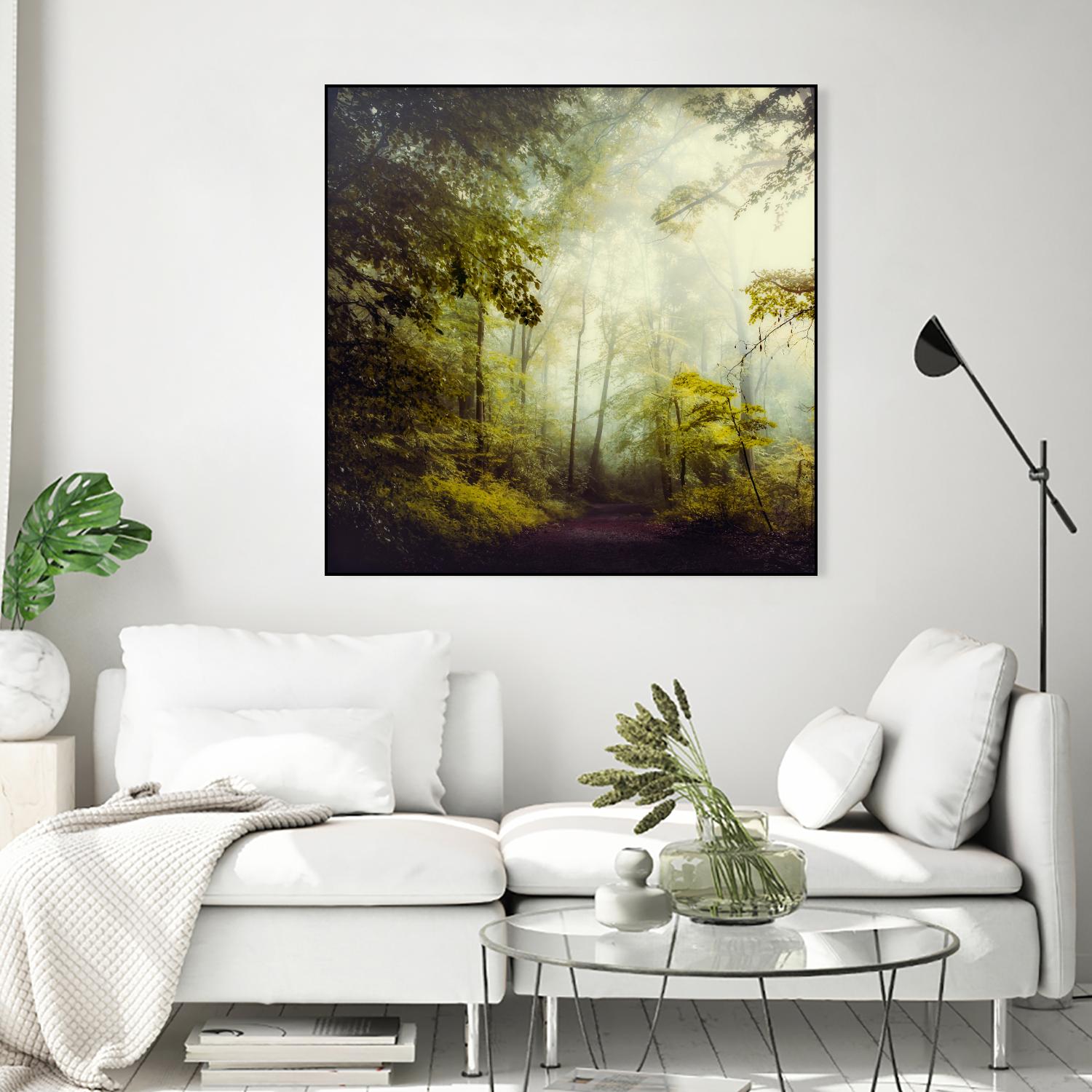 Glorious Woods by Dirk Wuestenhagen on GIANT ART - multicolor photography; landscapes