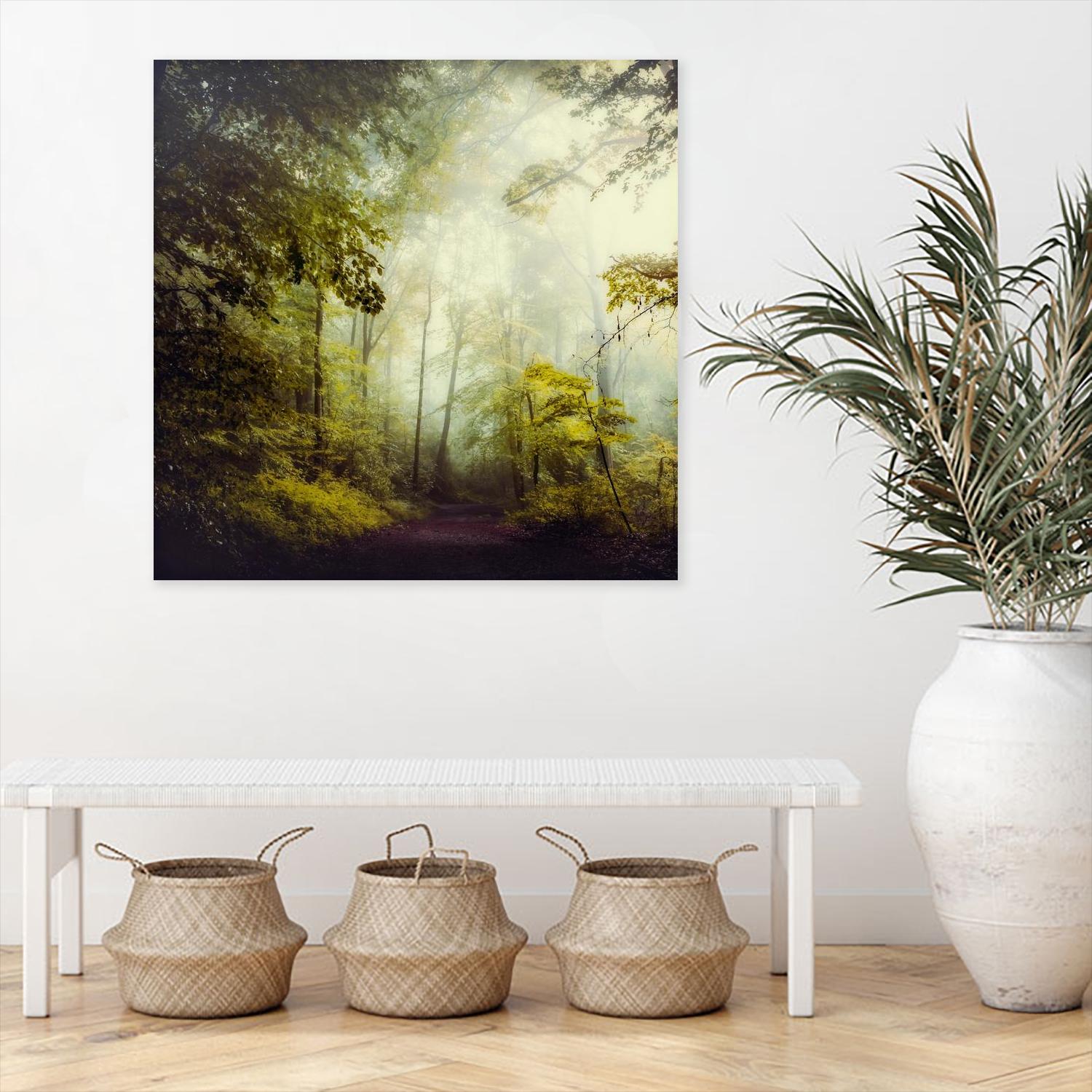 Glorious Woods by Dirk Wuestenhagen on GIANT ART - multicolor photography; landscapes