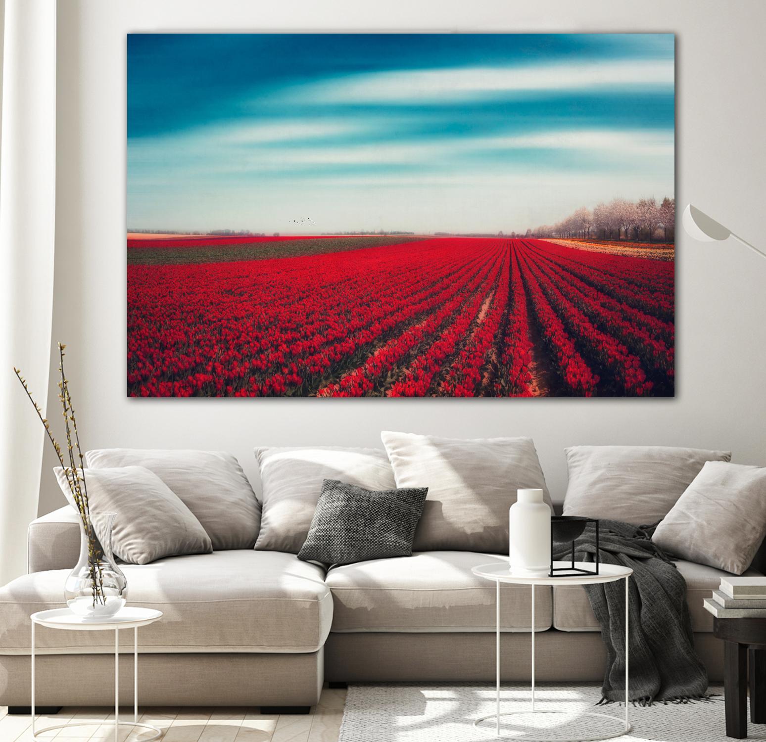 Tulips by Dirk Wuestenhagen on GIANT ART - multicolor photography; landscapes