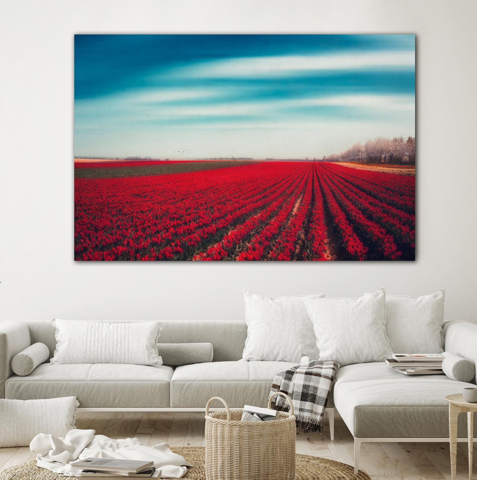 Tulips by Dirk Wuestenhagen on GIANT ART - multicolor photography; landscapes
